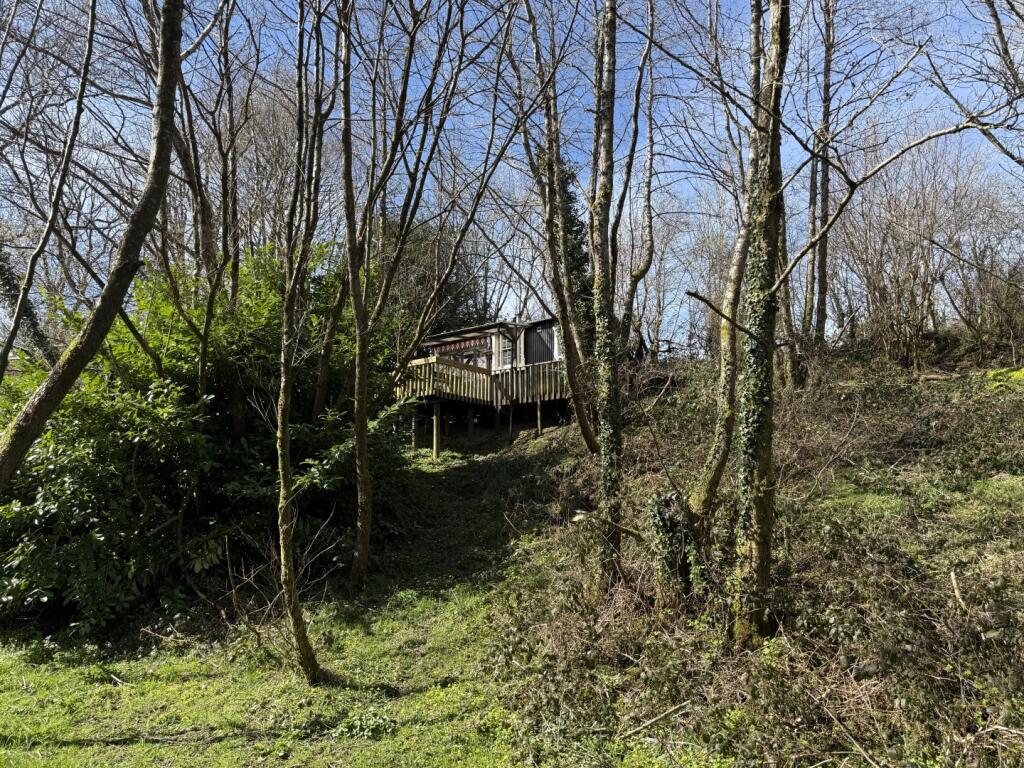 IMG 5398  Large  T202505021202.jpeg