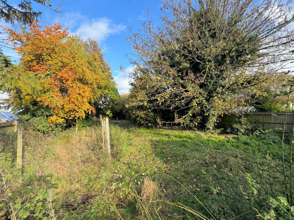 Garden 4.jpg