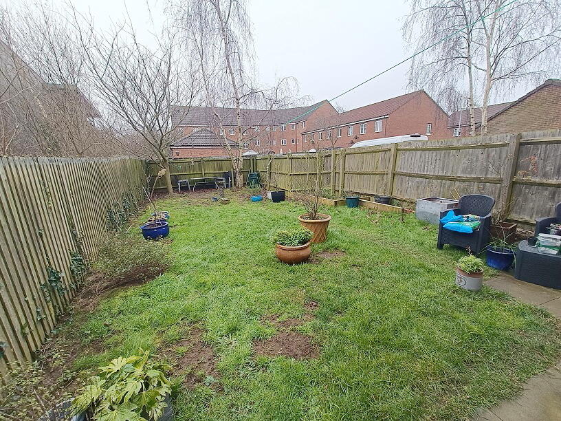 Back garden