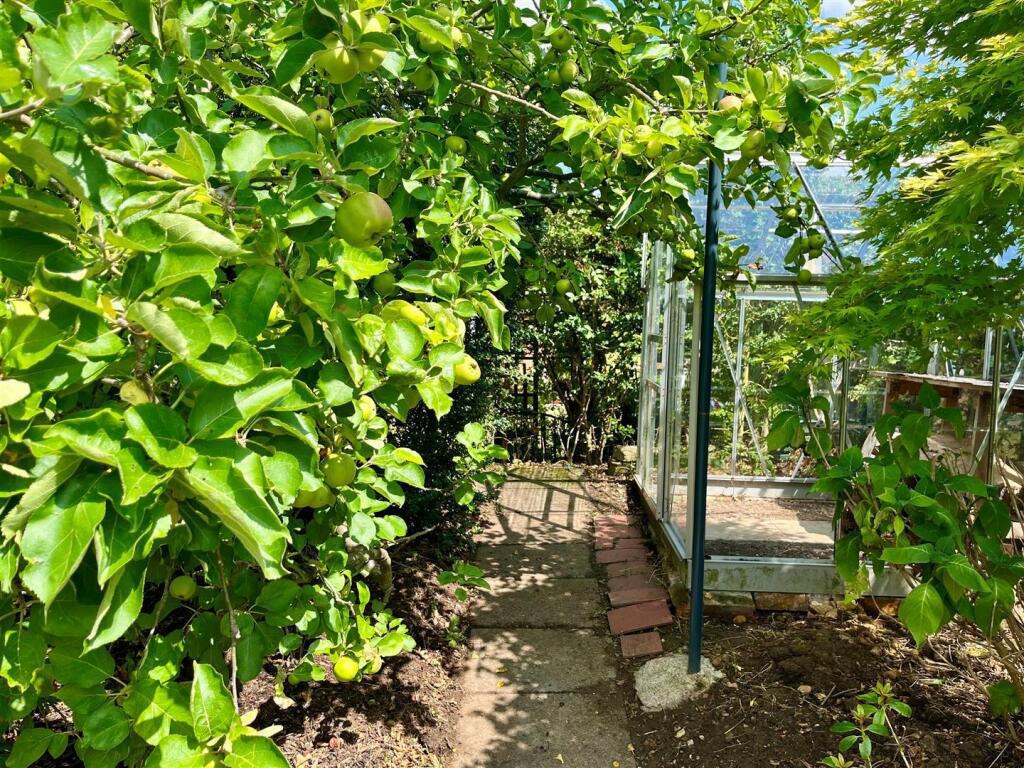 Rear Garden - image three.jpg