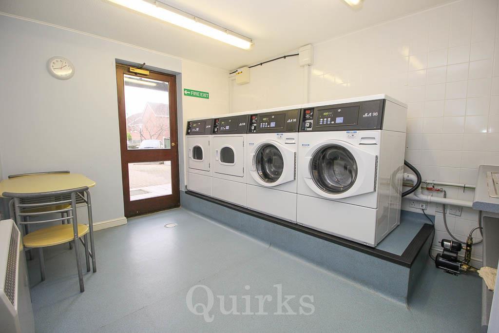 IMG_9230_4_large.jpg