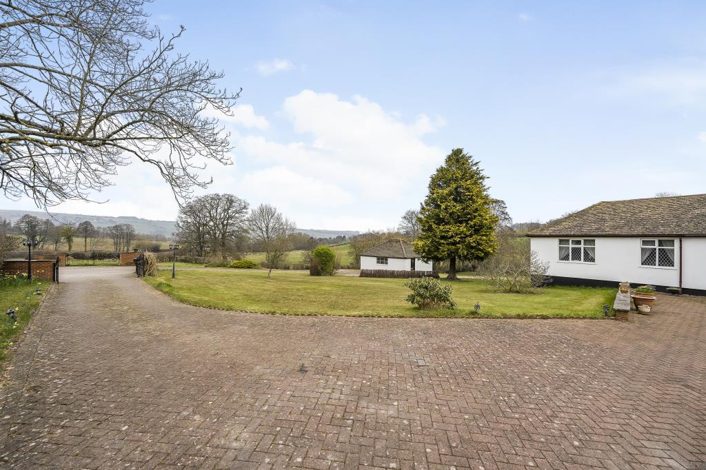 Photos