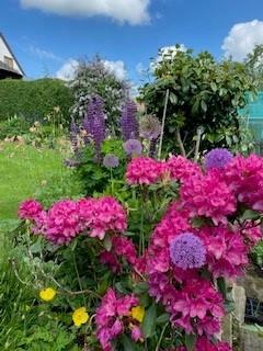 End May Garden Four.jpg