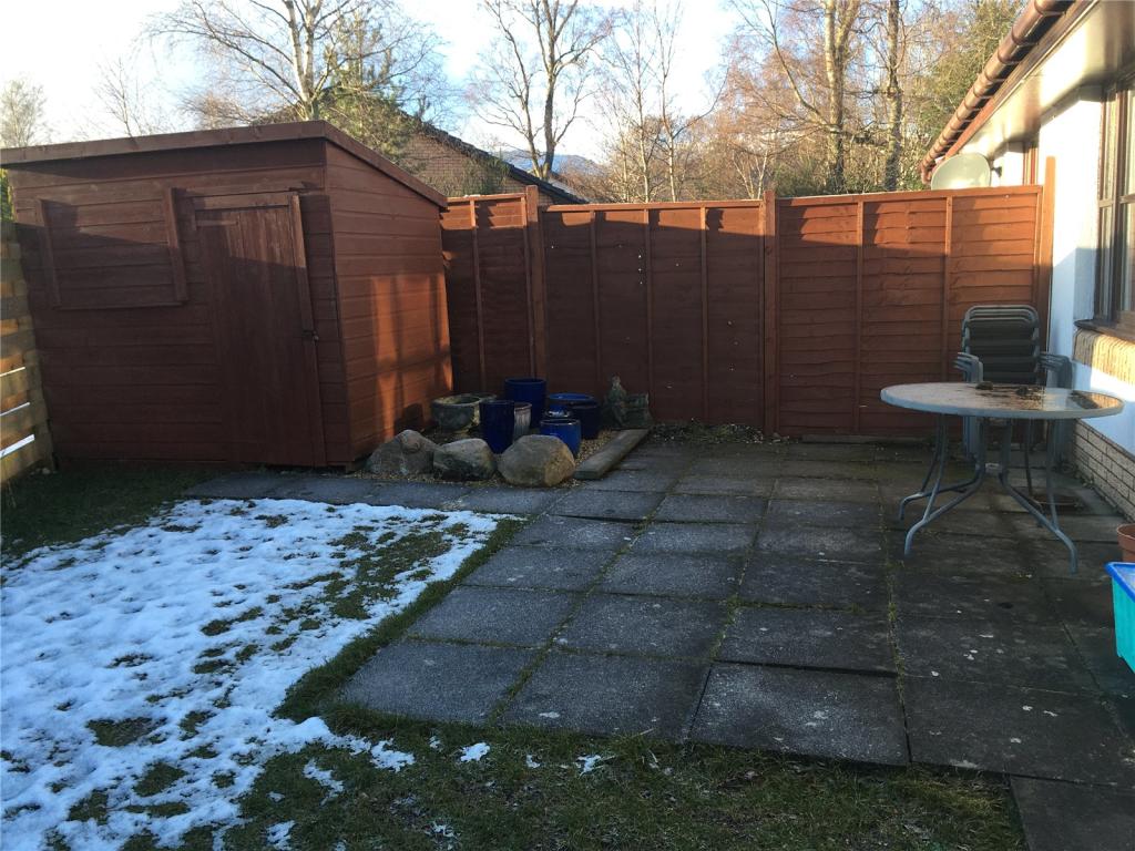 Back Garden