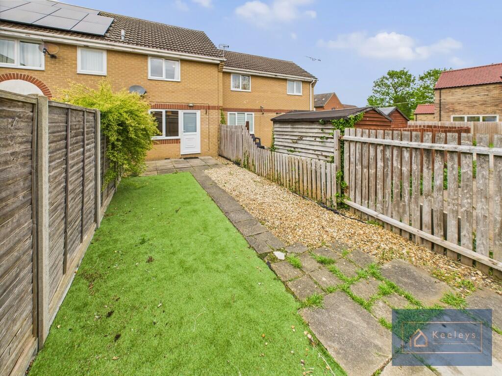 Back garden