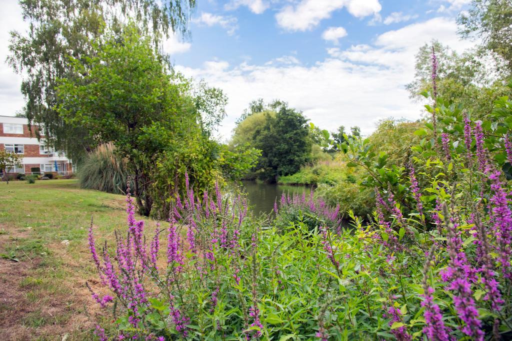 Gardens