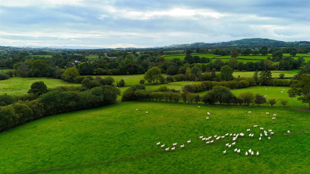 DJI_20250930164158_0438_D.jpg