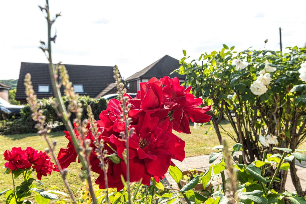 FRONT GARDEN DETAIL.jpg