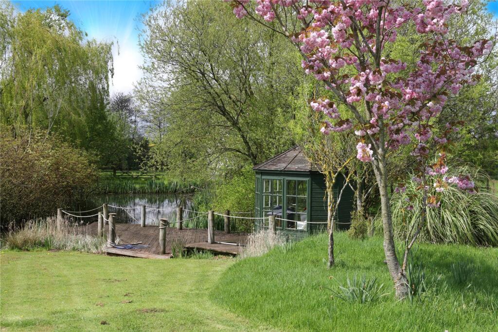 Pond