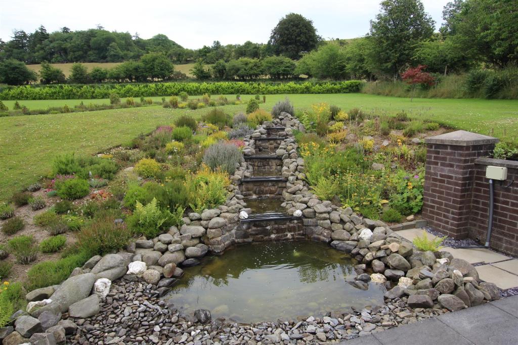 pond.JPG