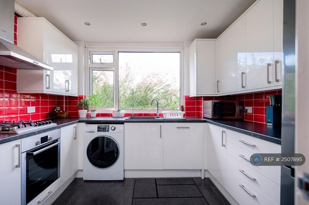 Contemporary Kitchen
