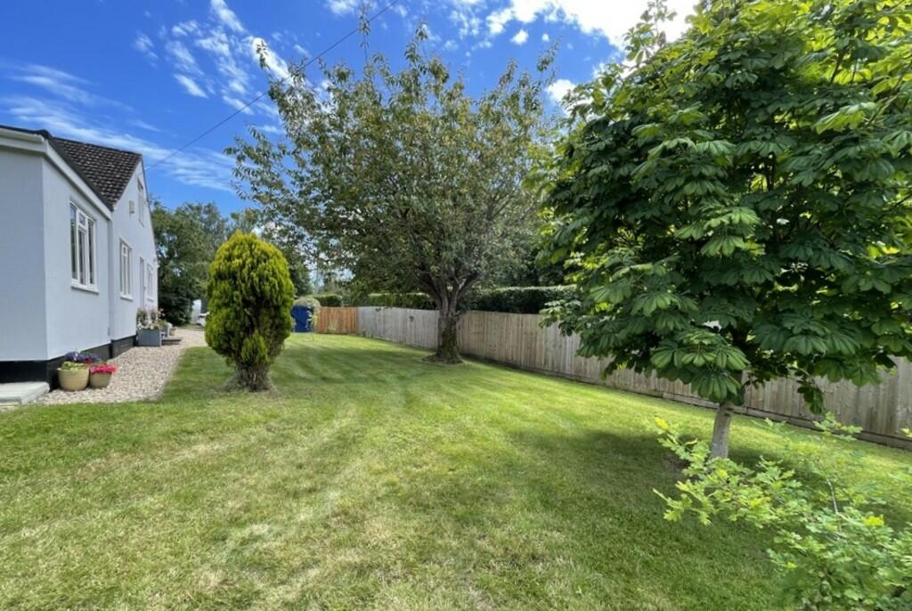 IMG_1729_79_origi...