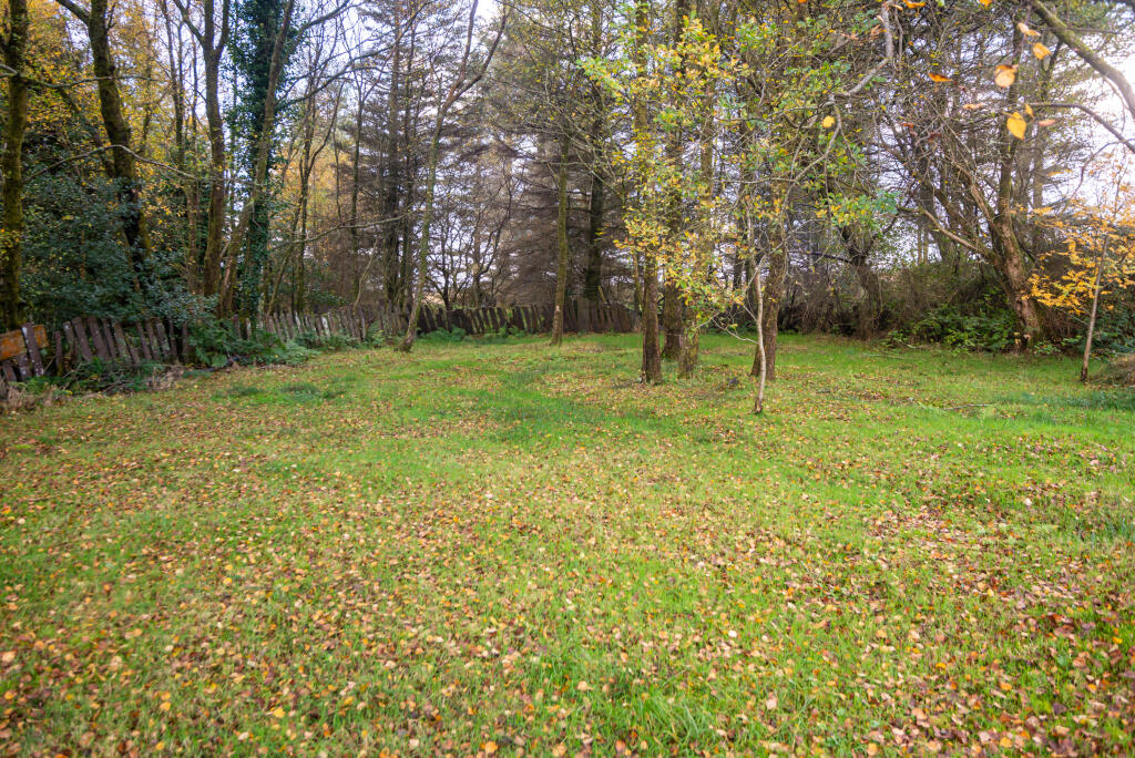 22 Tan Y Bwlch  Mynydd Llandygai-15 T202511131416.jpg