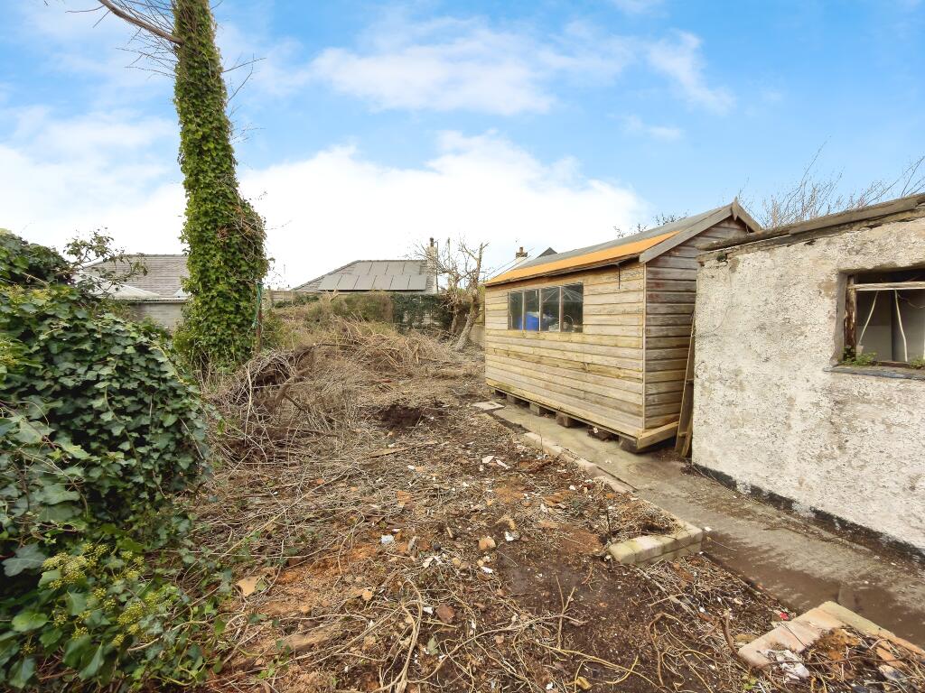 SEIRIOL1 T202511171744.jpg