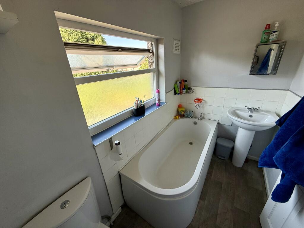 IMG 1572 T202506191649.jpeg