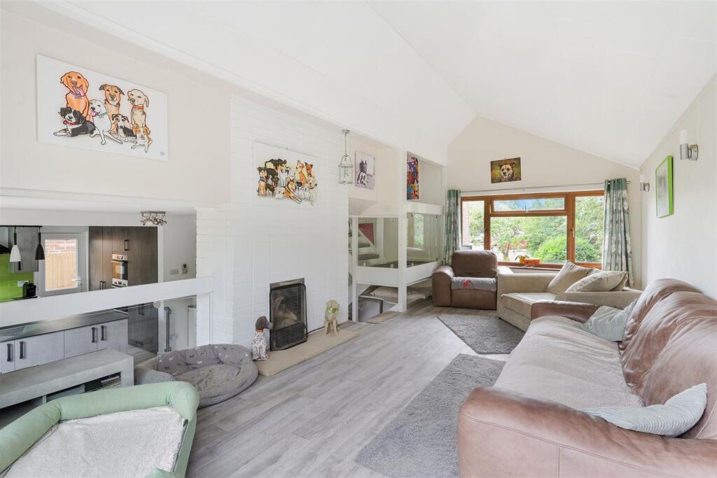 ROSE BUSHES, 63 (14).jpg