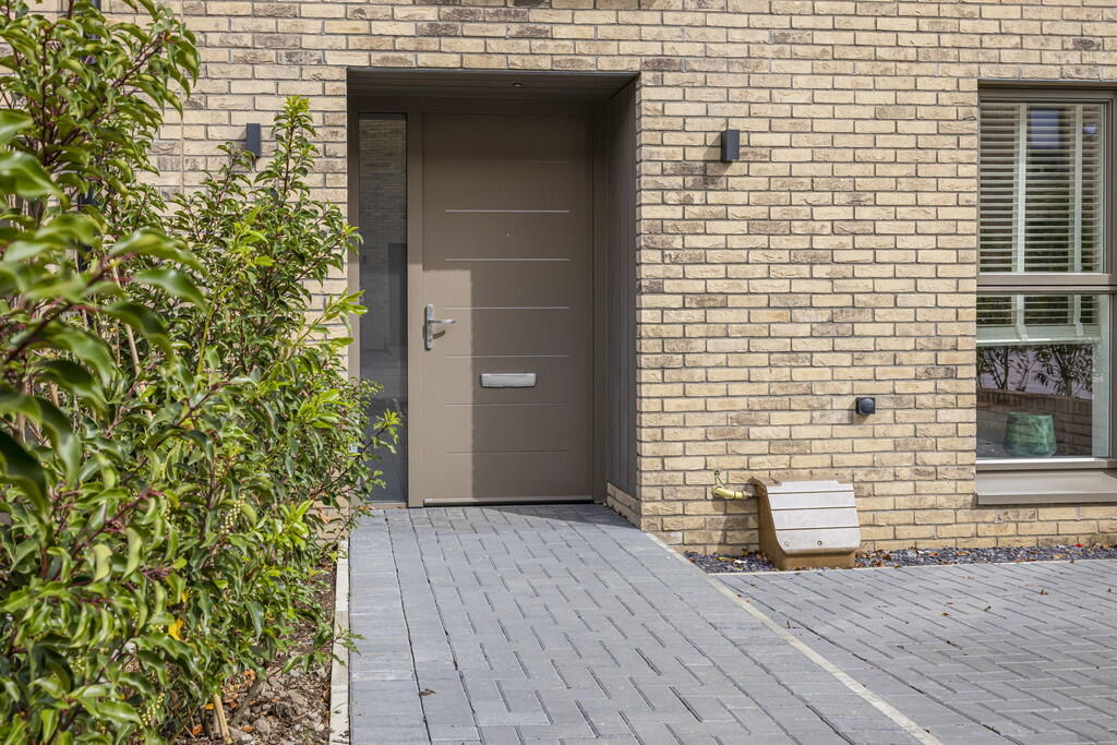 5-web-or-mls-Plot...