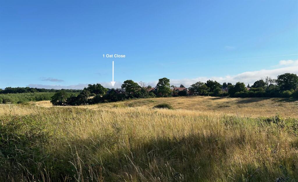 Surrounding countryside