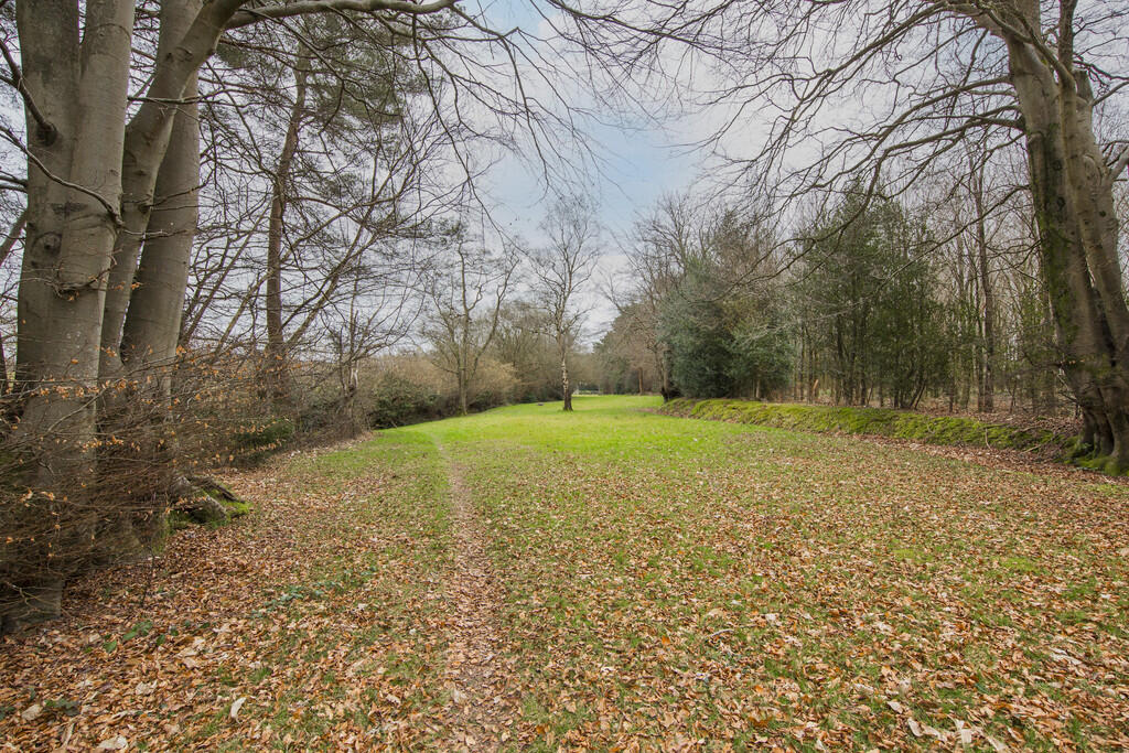 Paddock 2 additio...