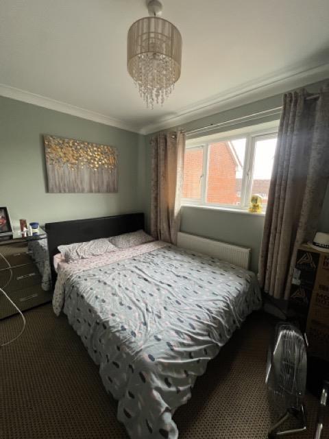 IMG_1701 Medium.jpeg