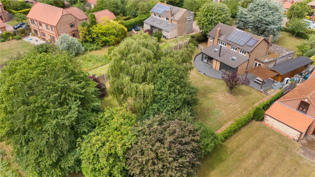 Aerial Shot