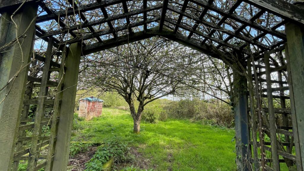 Garden 6.jpg