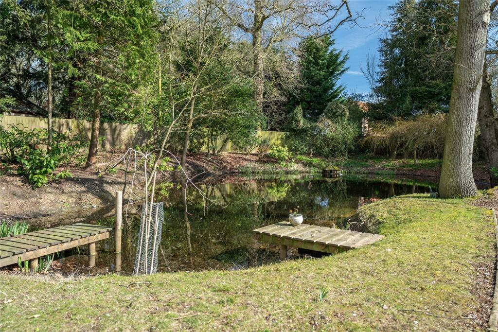 Pond