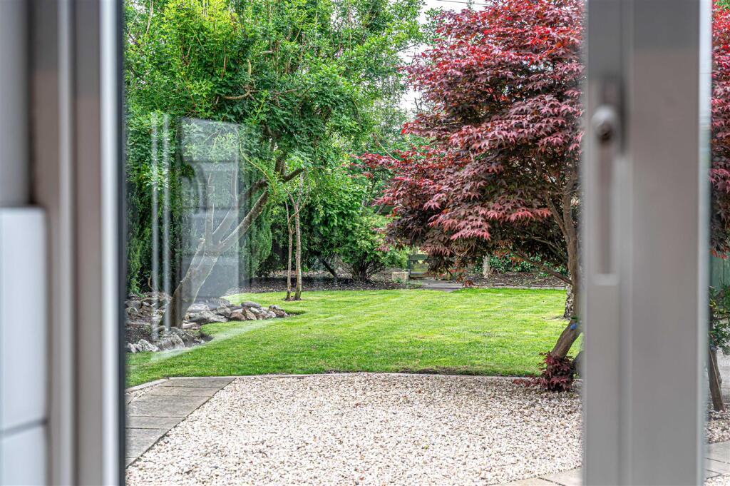 untitled (11 of 1).JPG