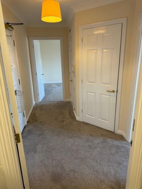 Flat 12
