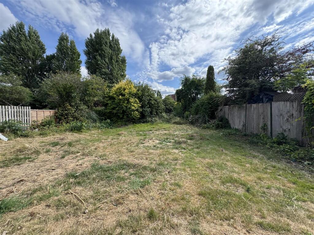 IMG_8648 (Large).JPG