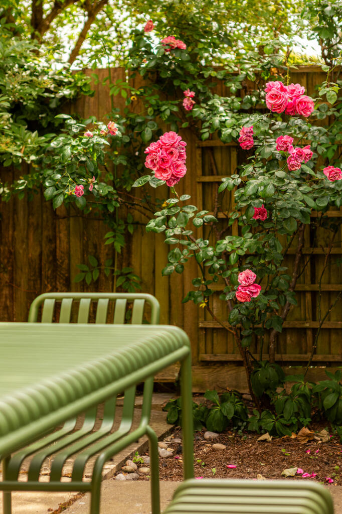 295198 - _MG_1769.jpg