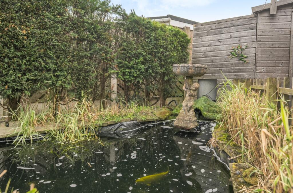 Pond 
