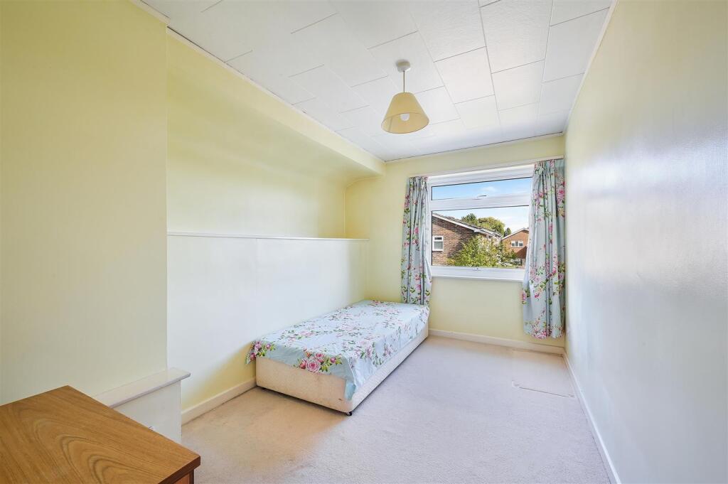 ROSE BUSHES, 15- (15).jpg