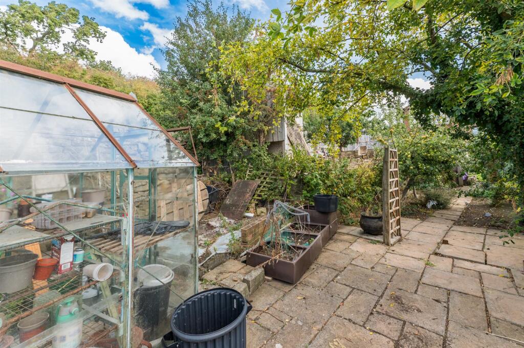 Fruit Trees