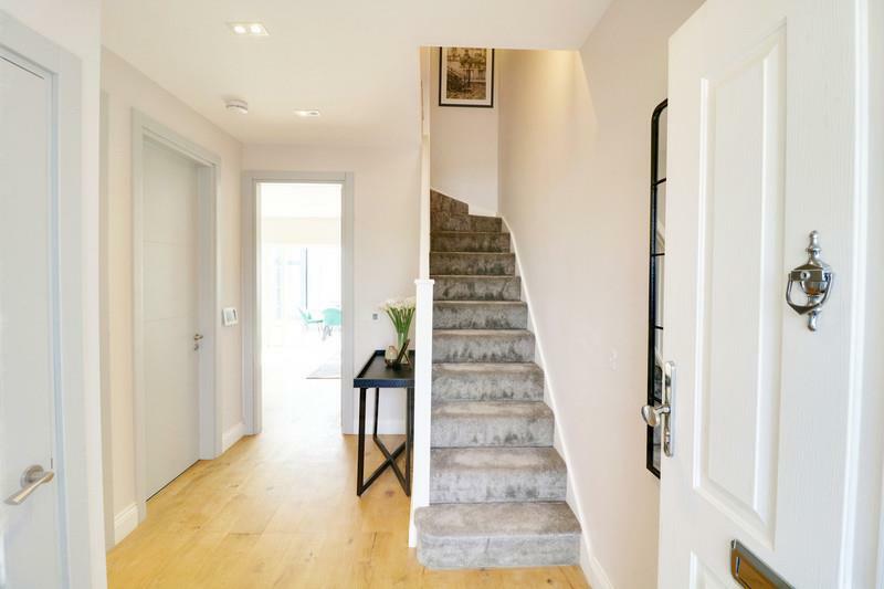 img_5913-img_5915_5024-61ef-a72c-babb-ffe0-8439-5f