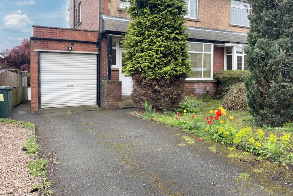 IMG_5547_inPixio (Large)