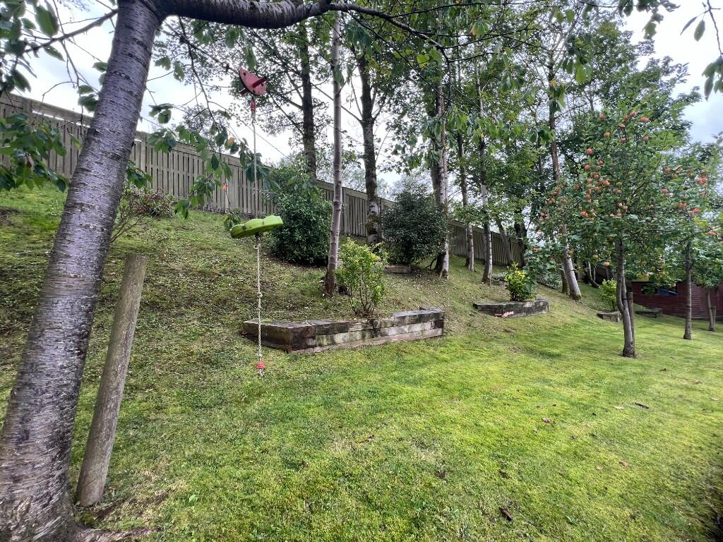Woodland 