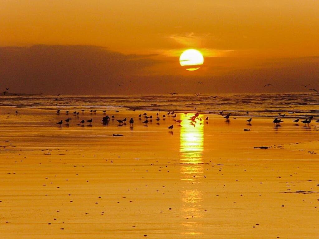 sunset.jpg