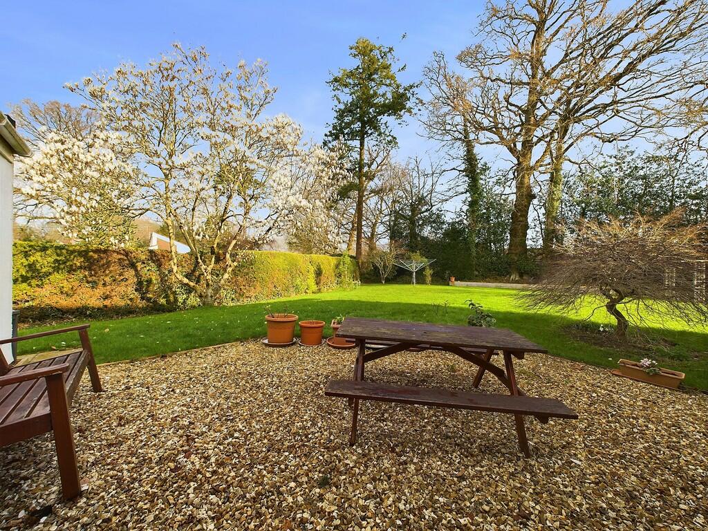 Back Garden b