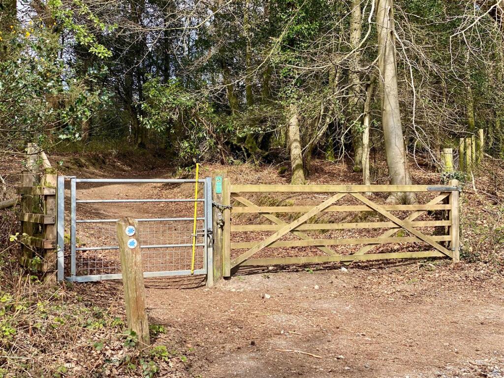 Middle Coppice - Local Trail.jpg