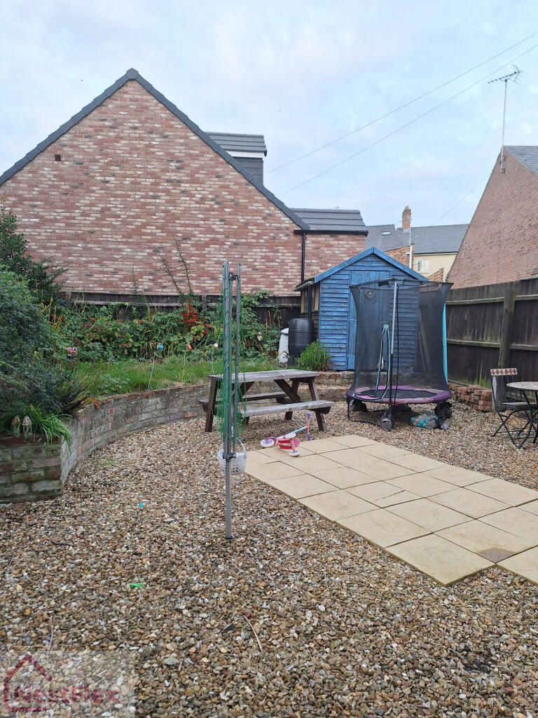 2 bull bk garden.jpeg