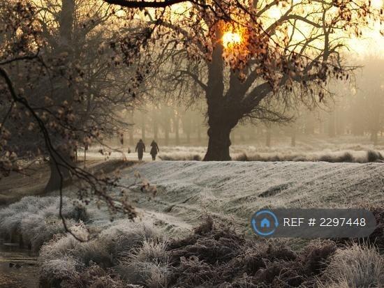 Neighbouring Richmond Park