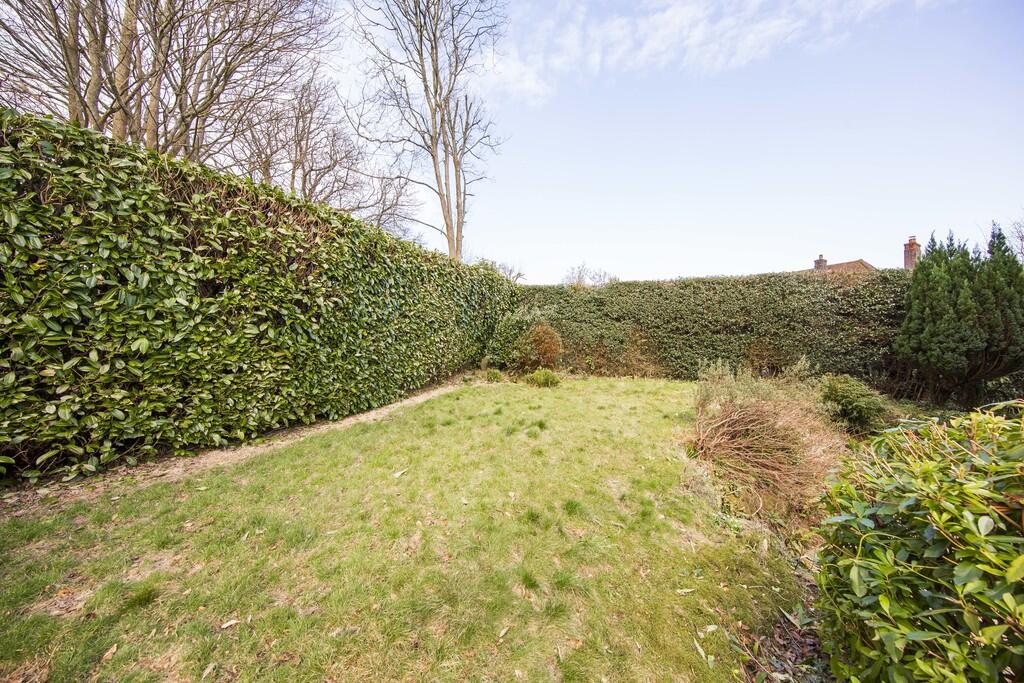 Garden 1