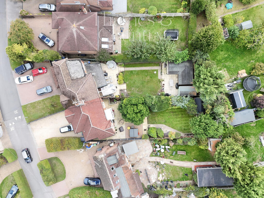 Plot View