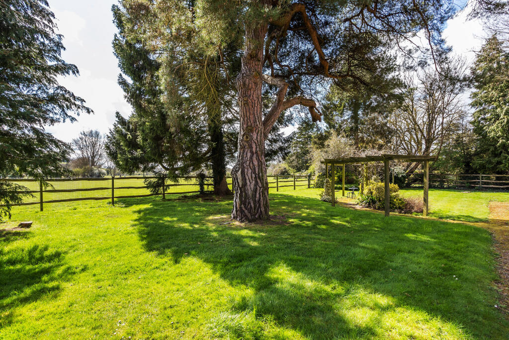 Communal gardens 1.jpg