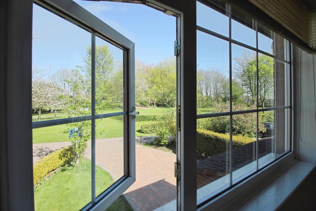 View From Bedroom