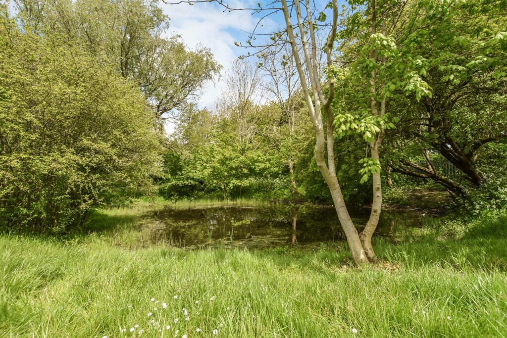 open space