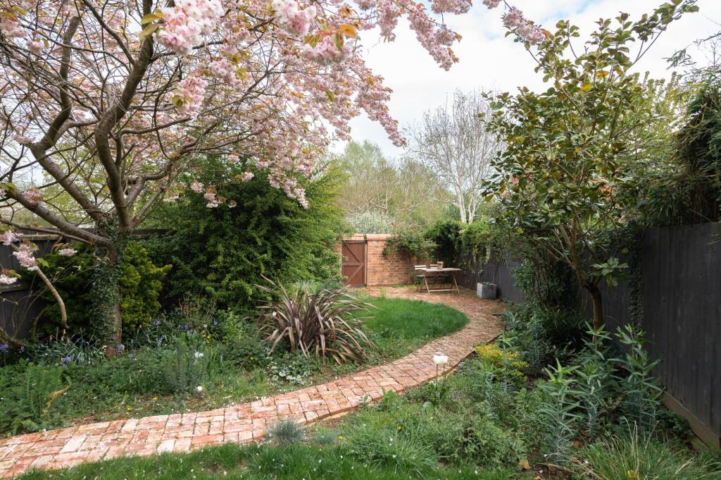 Back Garden