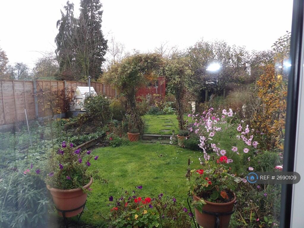 Looking Out The Dinning Area