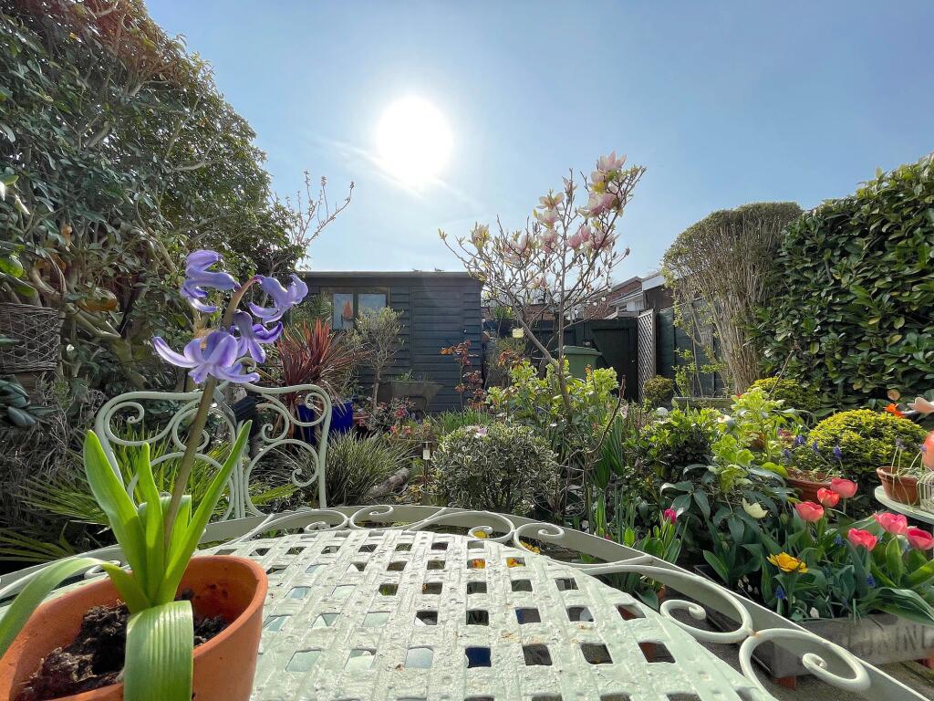 Garden (2)